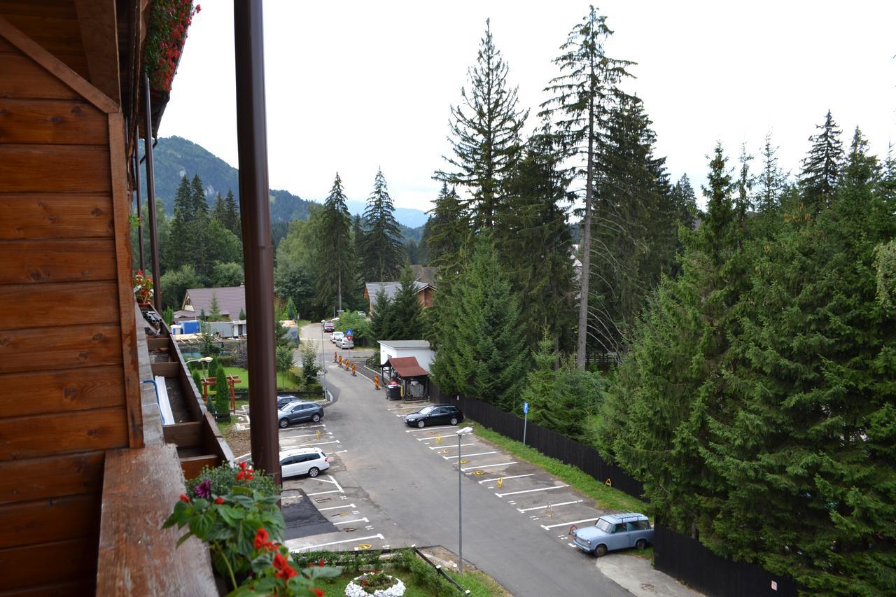 Studio Alex Poiana Brasov Exterior photo