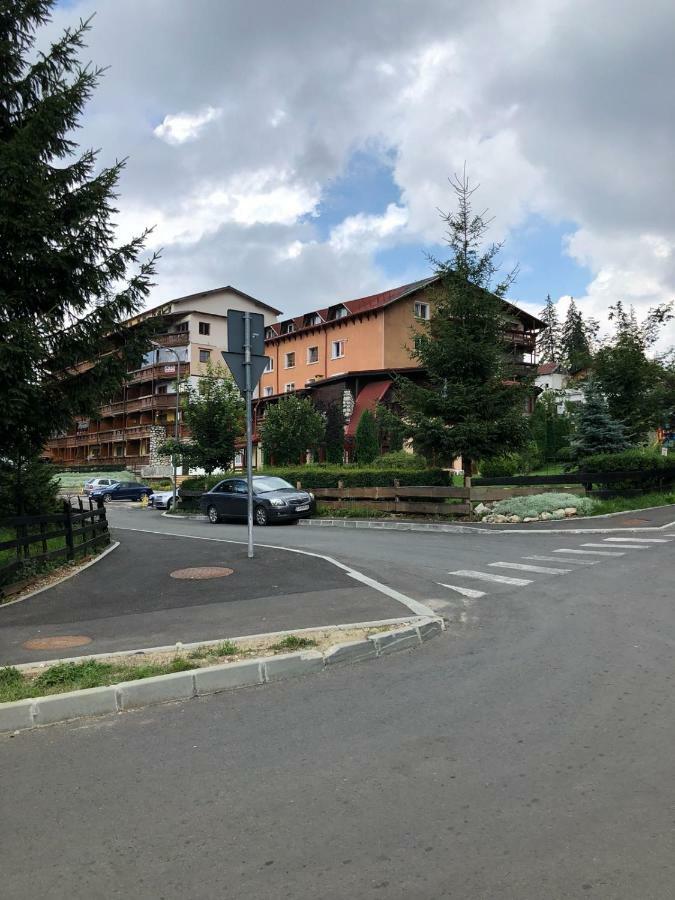Studio Alex Poiana Brasov Exterior photo
